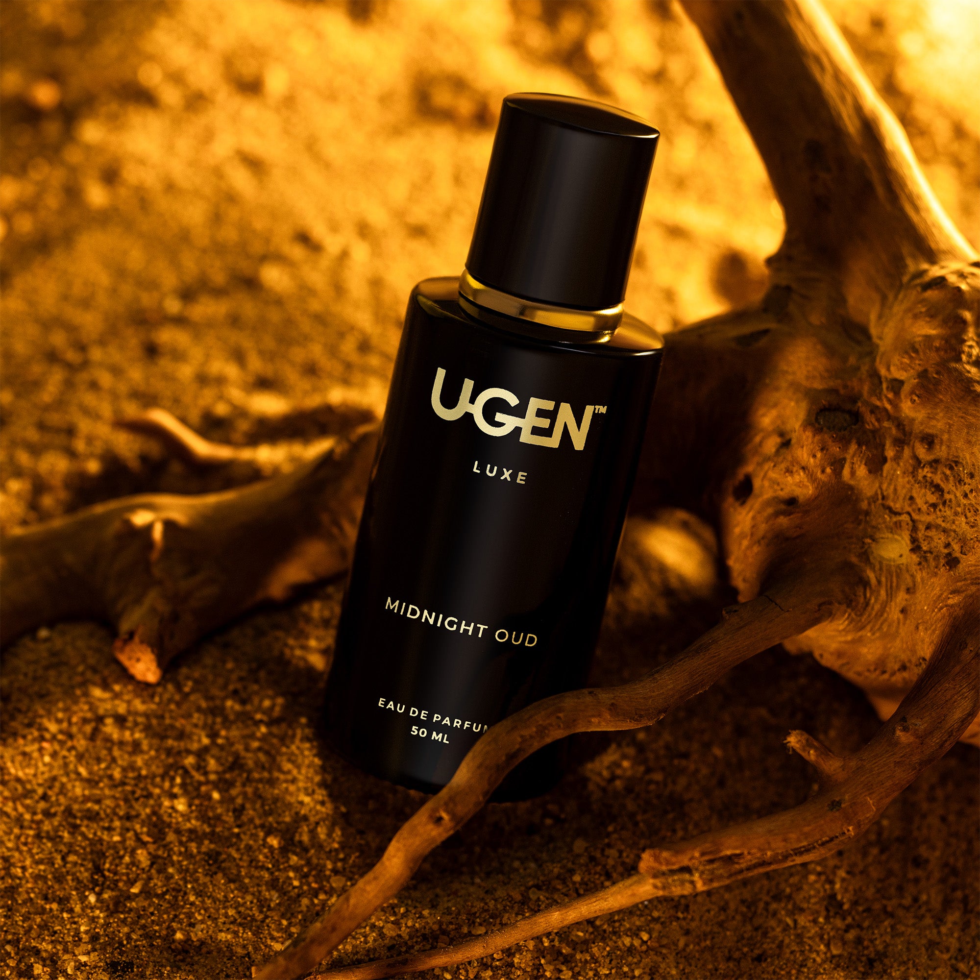Midnight Oud