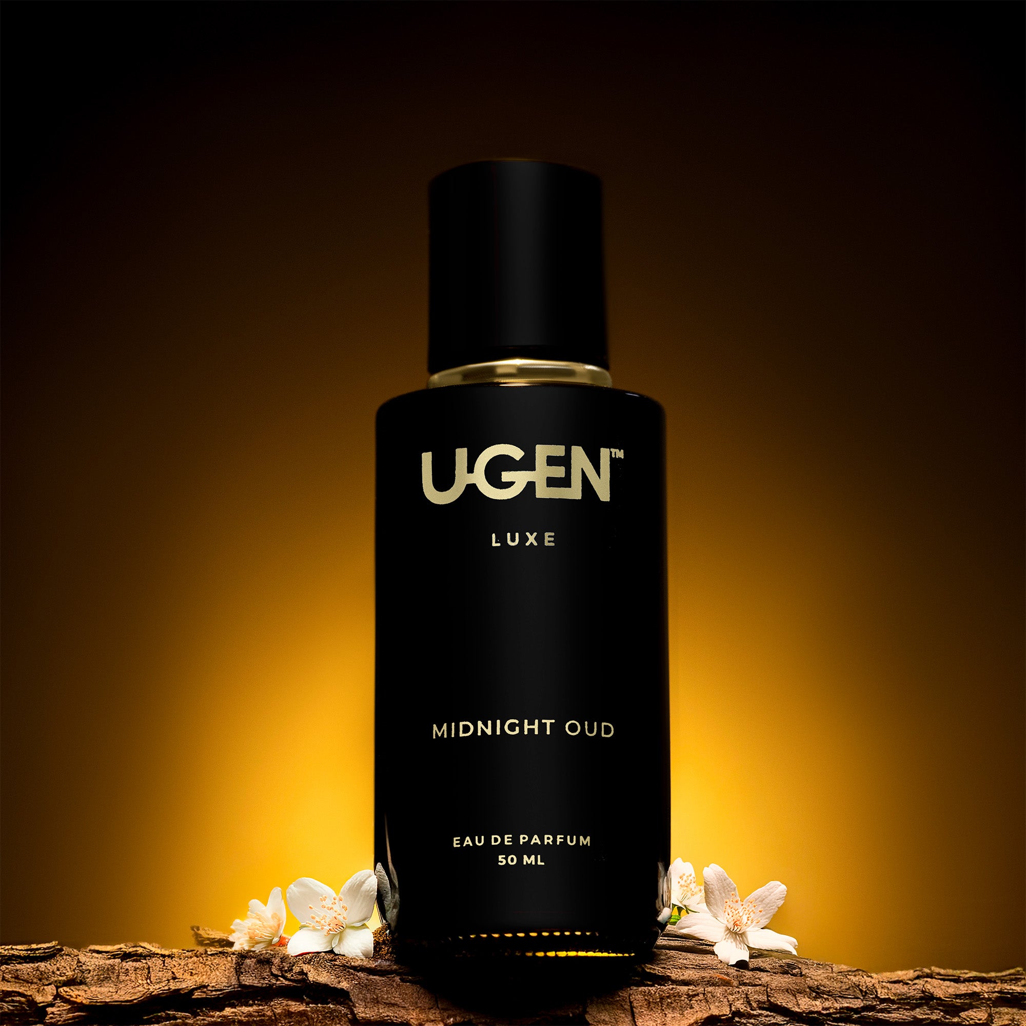 Midnight Oud